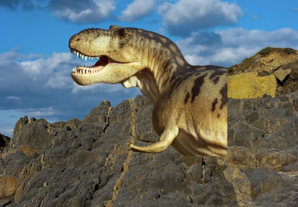 Creation of Mount Dino: Step 1